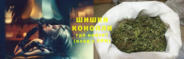сатива Гусь-Хрустальный
