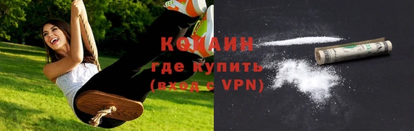 spice Гусиноозёрск