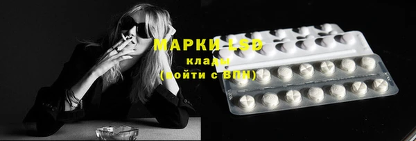 сатива Гусь-Хрустальный