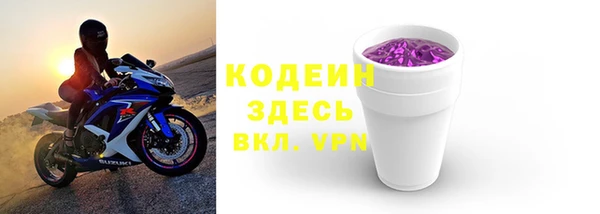 сатива Гусь-Хрустальный