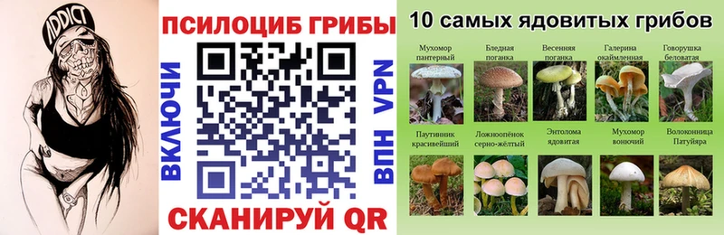 shop Telegram  Гдов  Галлюциногенные грибы мицелий 