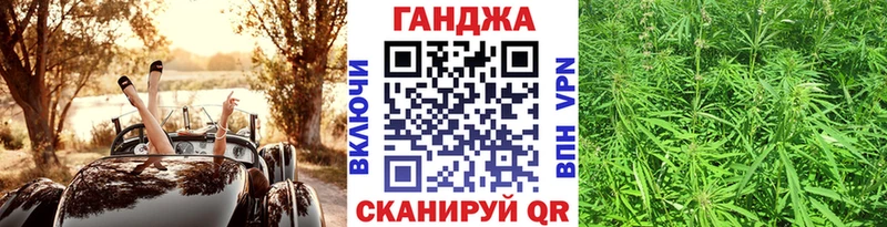 omg сайт Гдов Каннабис гибрид